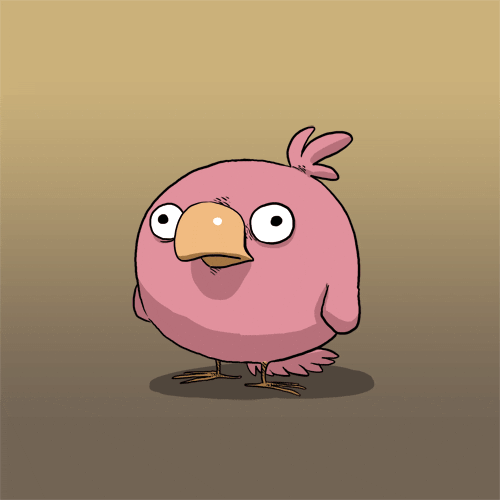 Bird Coco GIF