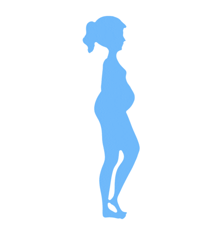 Xô academia Sticker