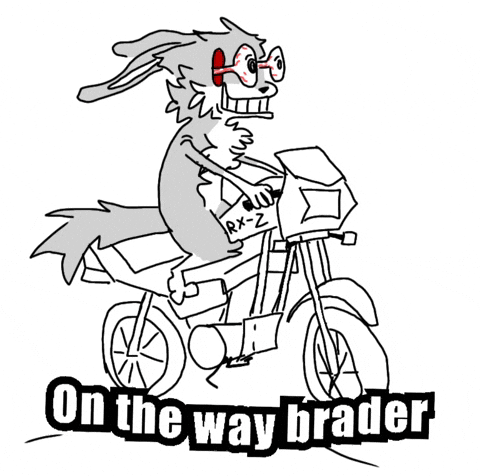 On The Way Brader GIF