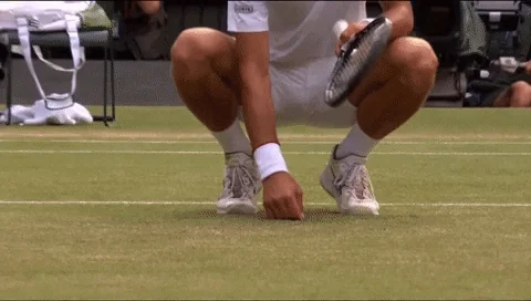 Novak Djokovic Sport GIF by Wimb__don