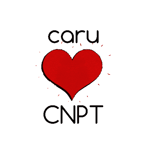 menter iaith cnpt Sticker