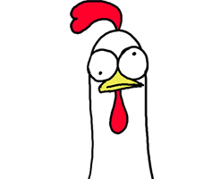 Confused Chicken GIFs - Find & Share on GIPHY