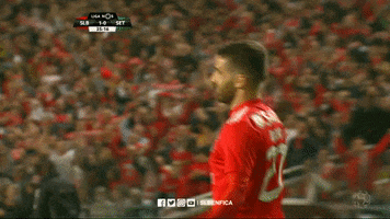 sl benfica football GIF by Sport Lisboa e Benfica