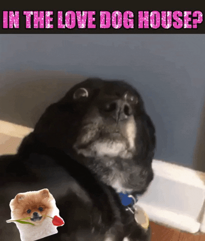 Valentines GIF
