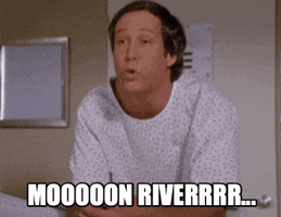Fletch GIF
