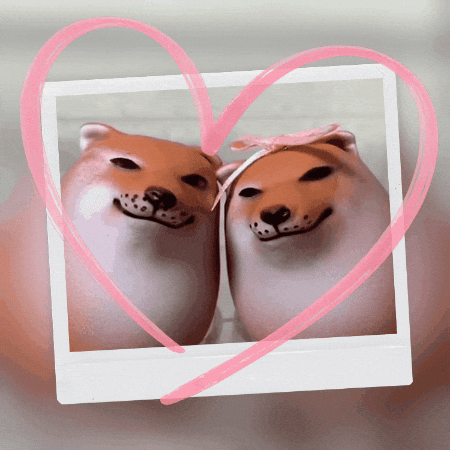 Shiba Inu Romance GIF