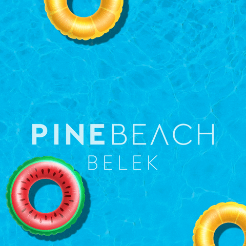 PineBeachBelek GIF