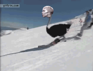 source.gif