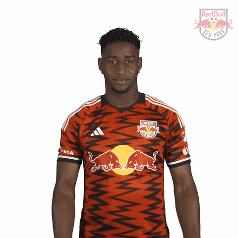 Stand Up Football GIF by New York Red Bulls