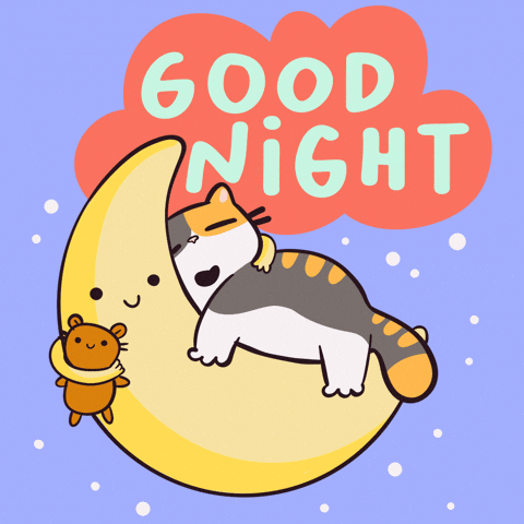 Good Night Cat GIF by Mumosa & Ragout - Find & Share on GIPHY