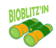 Nantucket Sticker by Linda Loring Nature Foundation