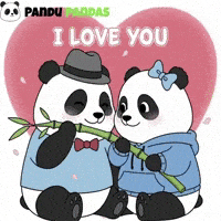 I Love You Panda GIF by Pandu Pandas