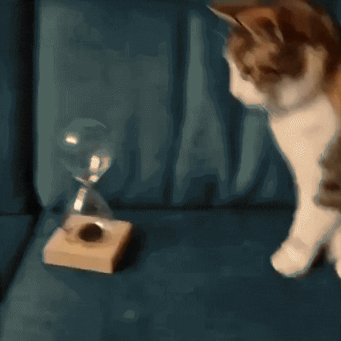 Kingkaps7 GIF