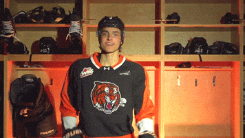 Medicine Hat Tigers GIF