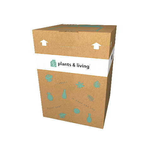 Happy Loop Sticker by Plants & Living