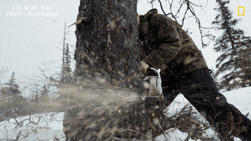 Nat Geo Winter GIF by National Geographic Channel