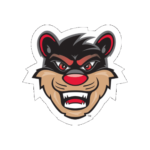 Sticker by uofcincy