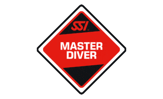 Dive Diving Sticker by Scuba Schools International