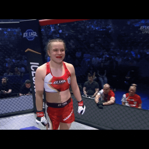 Ufc Mma GIF by Sani Brännfors