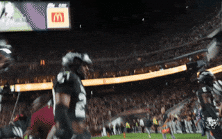 Texas Am Football GIF by Texas A&M Athletics