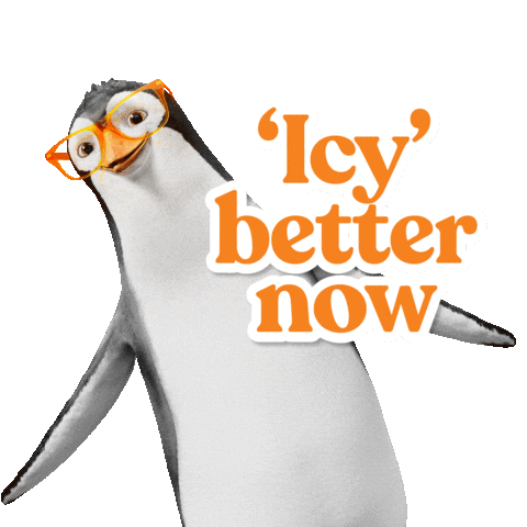 Eyewear Sticker by StantonOptical