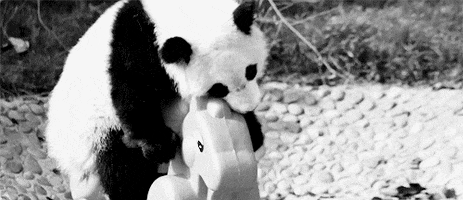Kawaii Panda GIFs - Find & Share on GIPHY