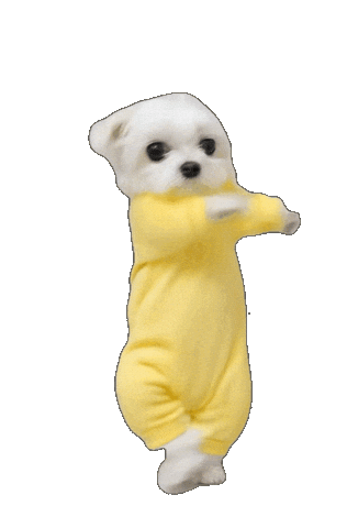 Dance Dog Sticker