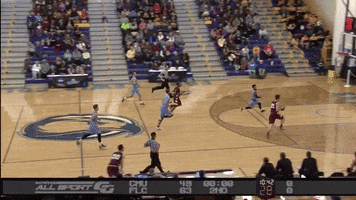 basketball d2 GIF by Fort Lewis College