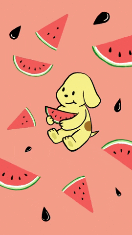 Yenlo GIF