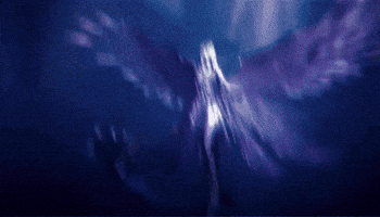 Medusa Tos GIF