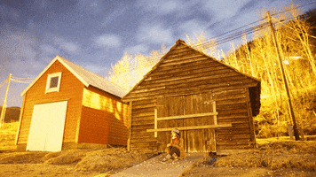 kayes  GIF