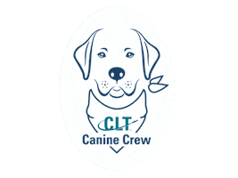 CLTairport Sticker
