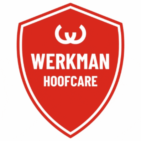 GIF by WerkmanHoofcare