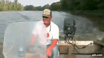 200.gif