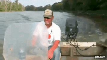 200.gif