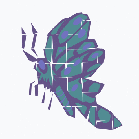 Butterfly Pattern GIF