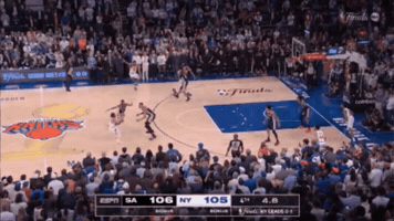 New York Basketball GIF