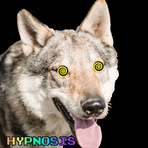 Hypnosis Spiral GIFs - Get the best GIF on GIPHY
