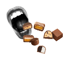 Chocolate Sticker by HallorenSchokoladenfabrik