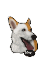 Cat No Sticker