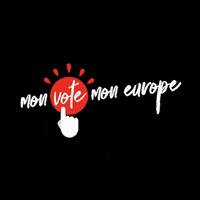 vote europe GIF by Les Jeunes Européens - France
