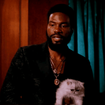 Cat GIF