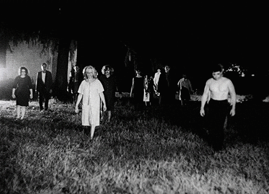 Night Of The Living Dead Zombies GIF by Filmin - Find & Share on GIPHY