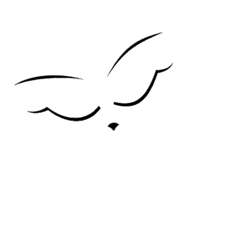 Liner Sticker by art-visage