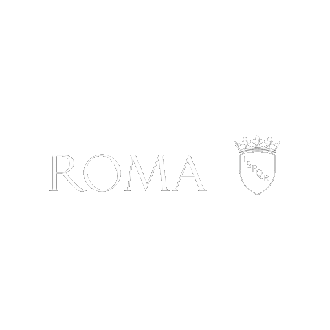 IG_ROME Sticker