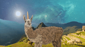 Unicorn Llama GIF by toyfantv