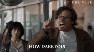 Angry How Dare You GIF by Van der Valk