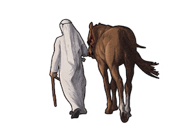 Al Maktoum Book Sticker by Brand Dubai