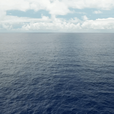 theoceancleanup bye plastic social distancing pollution GIF