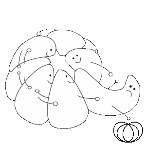 Somosmandarina Sticker